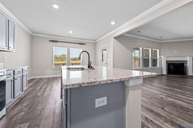 14029 Lannister Lane, Athens, AL 35613