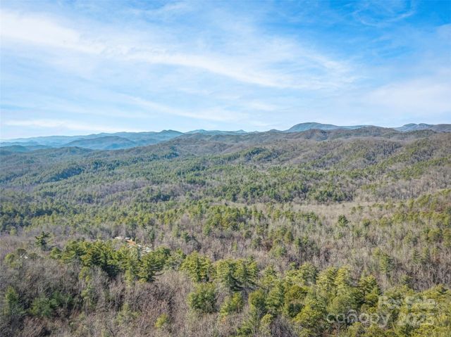 101 Ruffed Grouse Road, Brevard, NC 28712