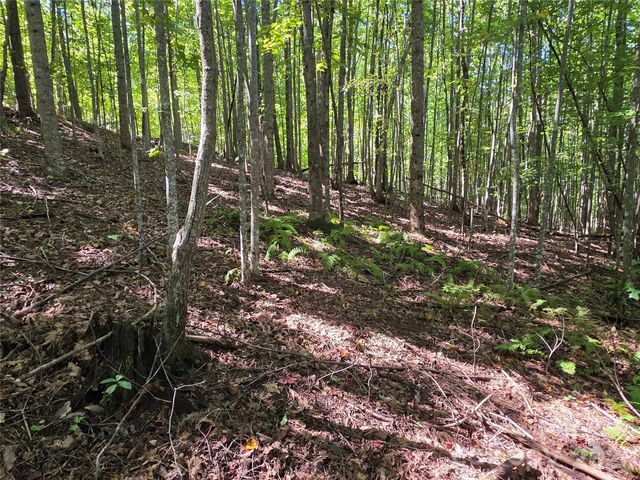 19 Meditation Ridge Drive, Nebo, NC 28761
