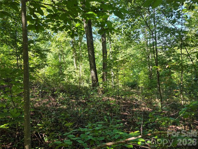 19 Meditation Ridge Drive, Nebo, NC 28761