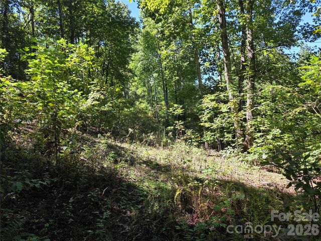 19 Meditation Ridge Drive, Nebo, NC 28761
