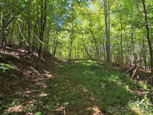 19 Meditation Ridge Drive, Nebo, NC 28761