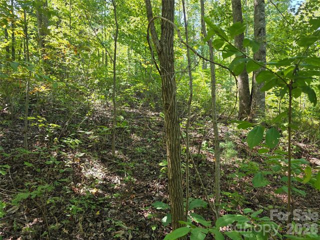 19 Meditation Ridge Drive, Nebo, NC 28761