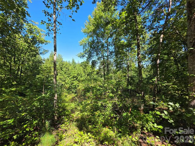 19 Meditation Ridge Drive, Nebo, NC 28761