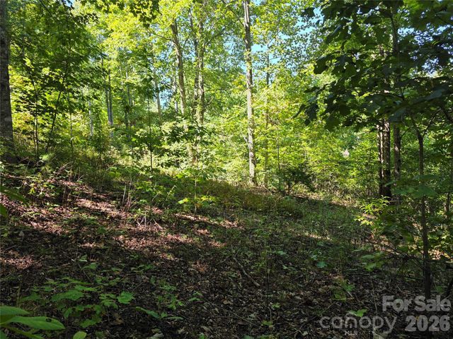 19 Meditation Ridge Drive, Nebo, NC 28761