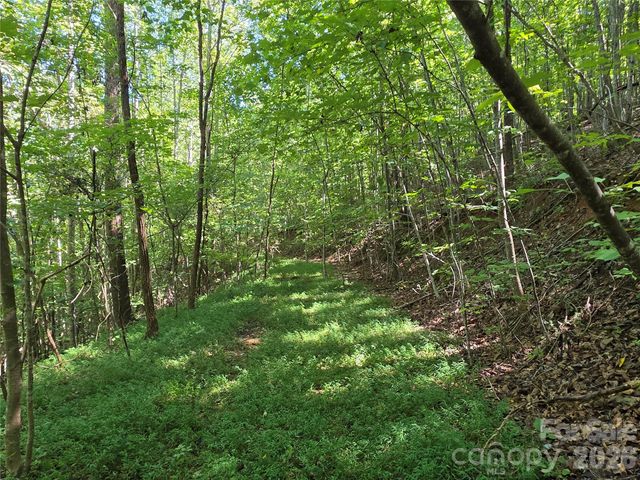 19 Meditation Ridge Drive, Nebo, NC 28761