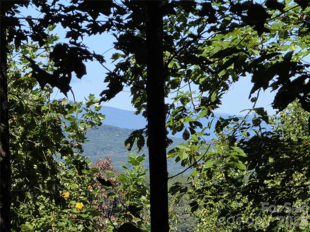 19 Meditation Ridge Drive, Nebo, NC 28761