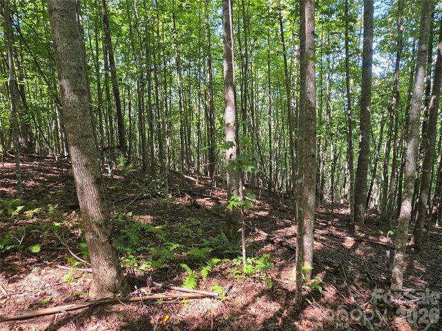19 Meditation Ridge Drive, Nebo, NC 28761