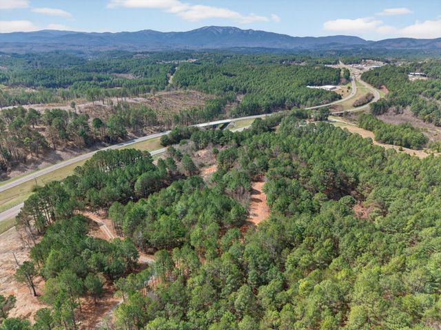 5333 Highway 64, Lot 6, Copperhill, TN 37317