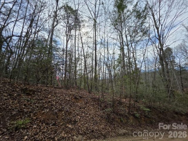Lot 1 Kerlee Lane, Old Fort, NC 28762