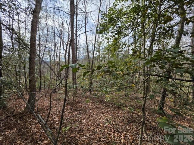 Lot 1 Kerlee Lane, Old Fort, NC 28762