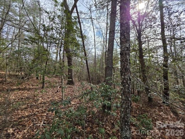 Lot 1 Kerlee Lane, Old Fort, NC 28762