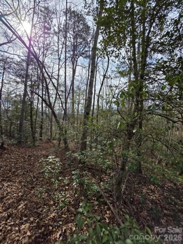 Lot 1 Kerlee Lane, Old Fort, NC 28762