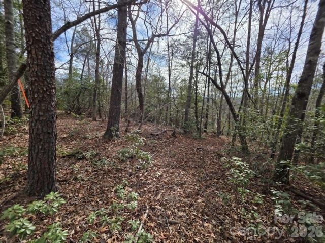 Lot 1 Kerlee Lane, Old Fort, NC 28762