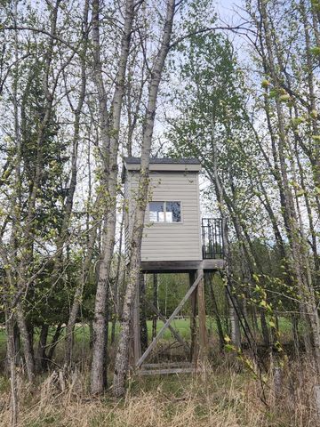 9453 Alango Road, Angora, MN 55703