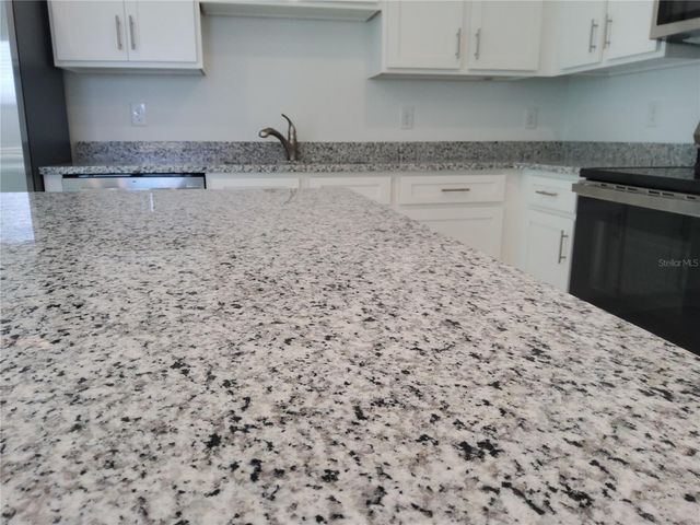 1816 FAN PALM DRIVE, Davenport, FL 33897
