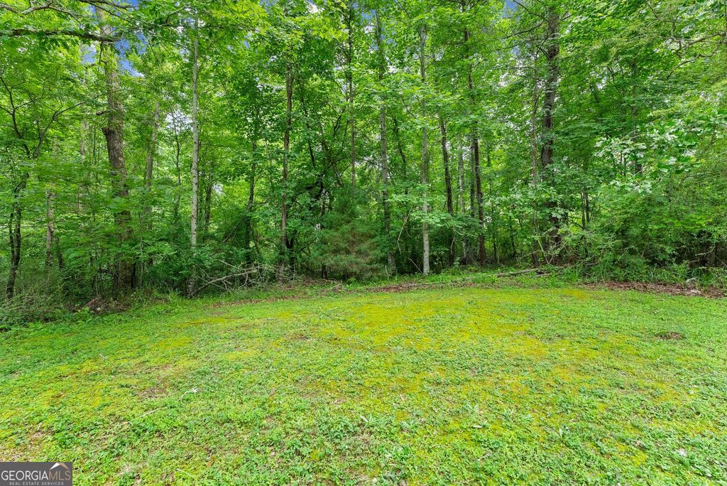 LOT 34 Lakemont Trail, Demorest, GA 30535 — photo 4