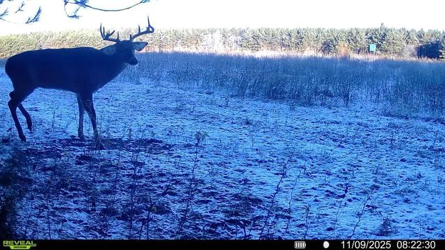 1565 State Highway 71, Abbotsford, WI 56345