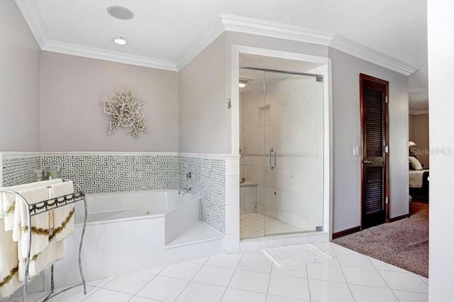 2809 FAIRWAY VIEW DRIVE, Valrico, FL 33596