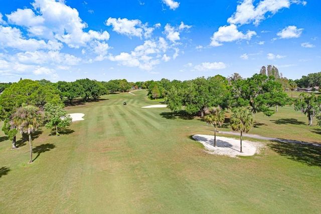 2809 FAIRWAY VIEW DRIVE, Valrico, FL 33596