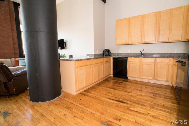 1520 Washington Avenue 604, St Louis, MO 63103