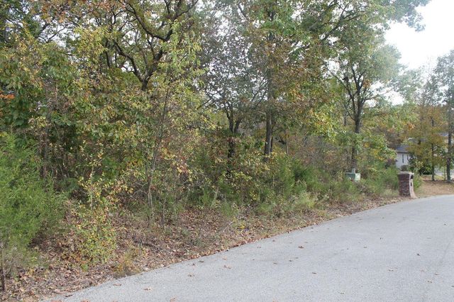 415 Silverwood Circle, Branson West, MO 65737