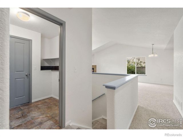 3398 White Buffalo Drive, Wellington, CO 80549