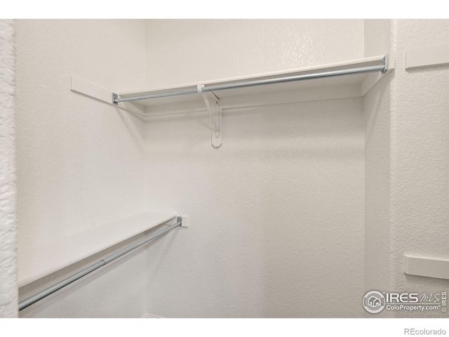 3398 White Buffalo Drive, Wellington, CO 80549