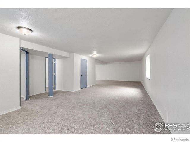 3398 White Buffalo Drive, Wellington, CO 80549