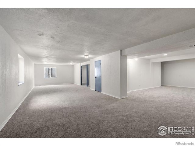 3398 White Buffalo Drive, Wellington, CO 80549