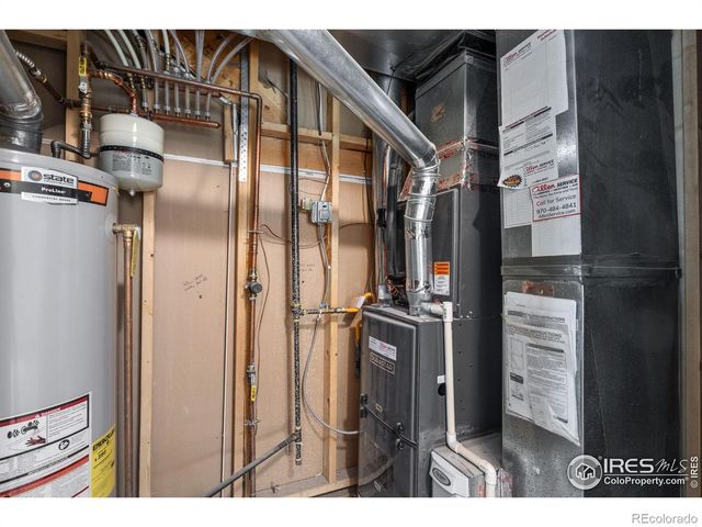 3398 White Buffalo Drive, Wellington, CO 80549