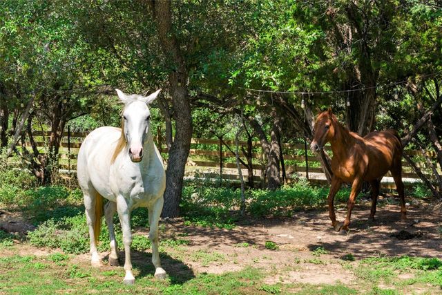 23224 Nameless RD, Leander, TX 78641