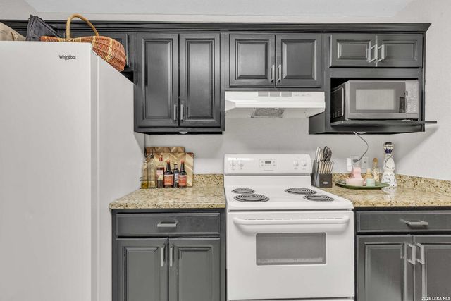 3202 Eisenhauer RD Unit 401, San Antonio, TX 78209