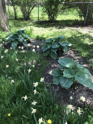 2150 Kinsey Street, Muskegon, MI 49441