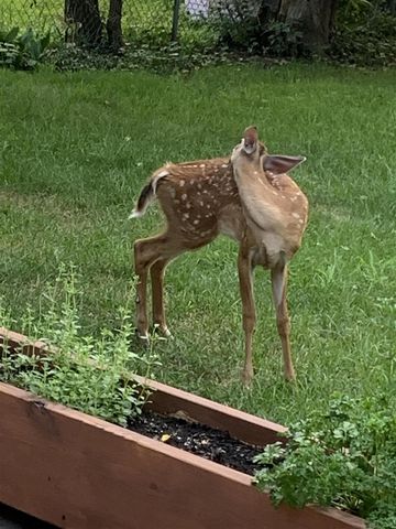 2150 Kinsey Street, Muskegon, MI 49441