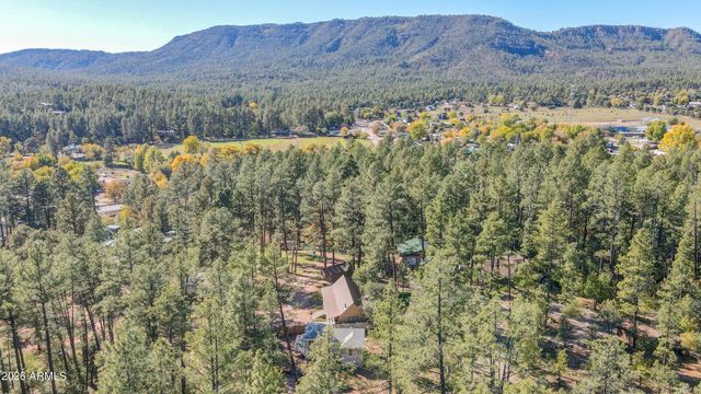 3690 N Cemetery Road, Pine, AZ 85544