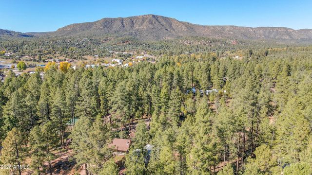 3690 N Cemetery Road, Pine, AZ 85544