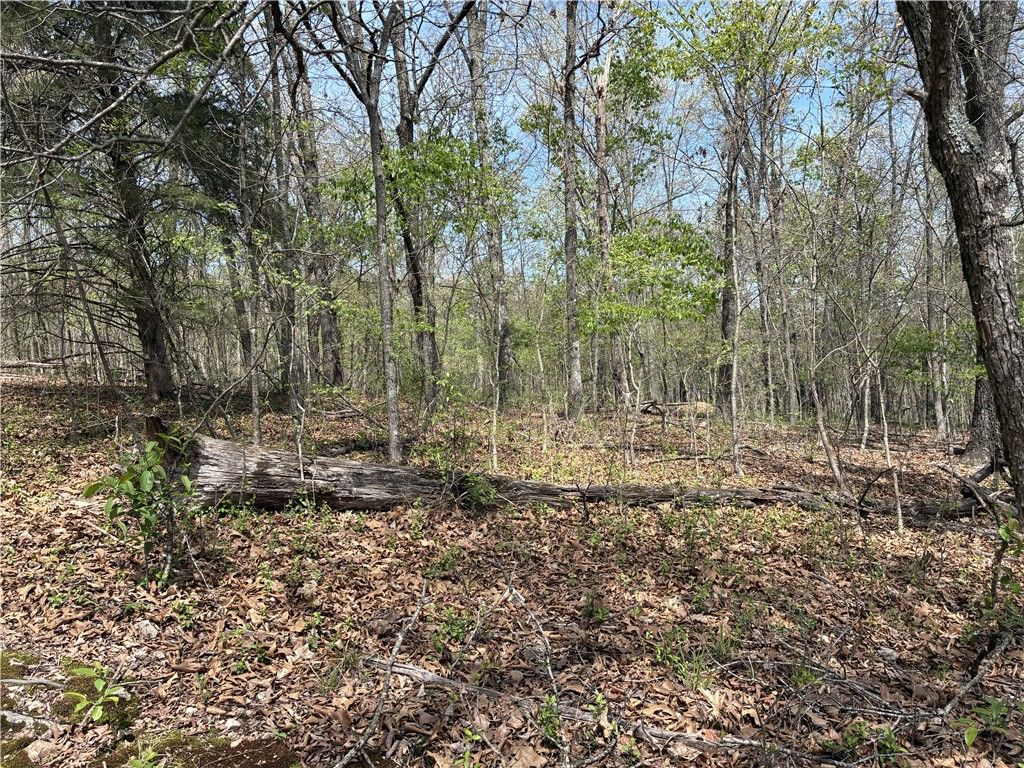 Chelmsworth Circle Lot 16 Block 4, Bella Vista, AR 72715