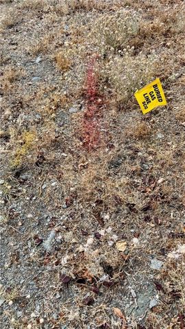 5419 Pacific Crest Drive, Wrightwood, CA 92397