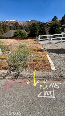 5419 Pacific Crest Drive, Wrightwood, CA 92397