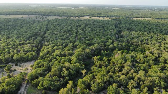 1085 Private Road 3063, Lexington, TX 78947