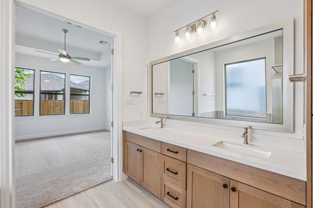 253 Prickly Poppy LOOP, Kyle, TX 78640