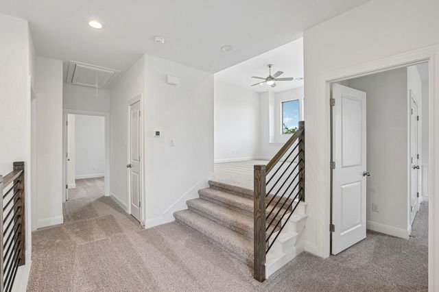 253 Prickly Poppy LOOP, Kyle, TX 78640