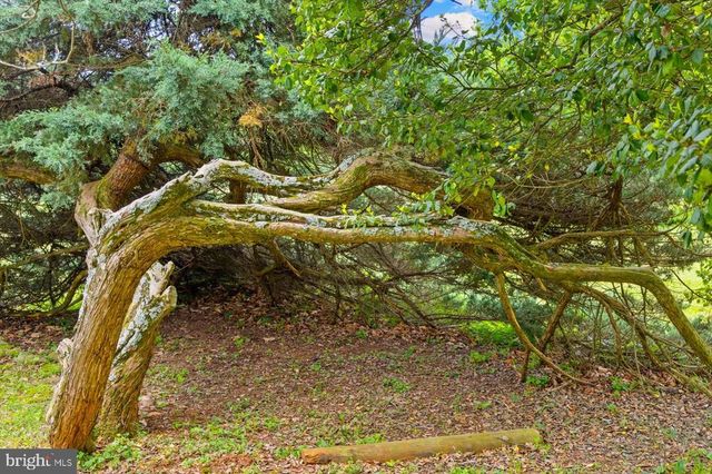 1830 THRIFT RD, Madison, VA 22727