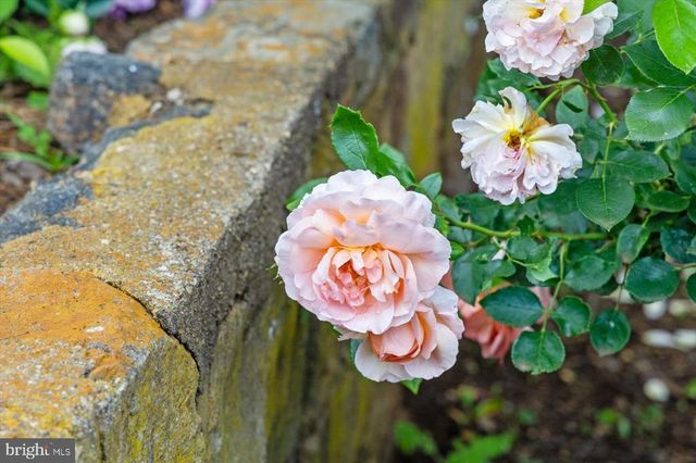 1830 THRIFT RD, Madison, VA 22727