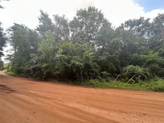 72 Live Oak Drive, Plantersville, TX 77363
