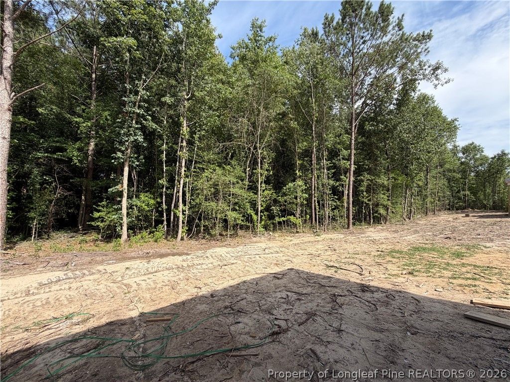 575 Grand Griffon Way, Lillington, NC 27546 — photo 7