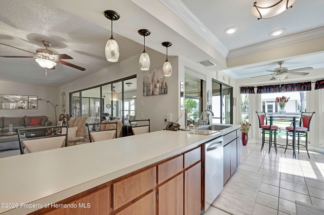 6433 Lost Tree Lane, Spring Hill, FL 34606