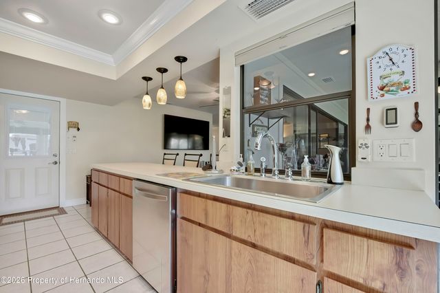 6433 Lost Tree Lane, Spring Hill, FL 34606