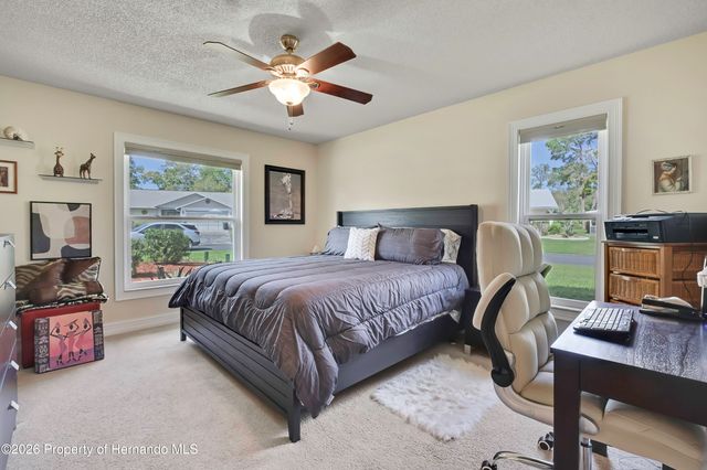 6433 Lost Tree Lane, Spring Hill, FL 34606